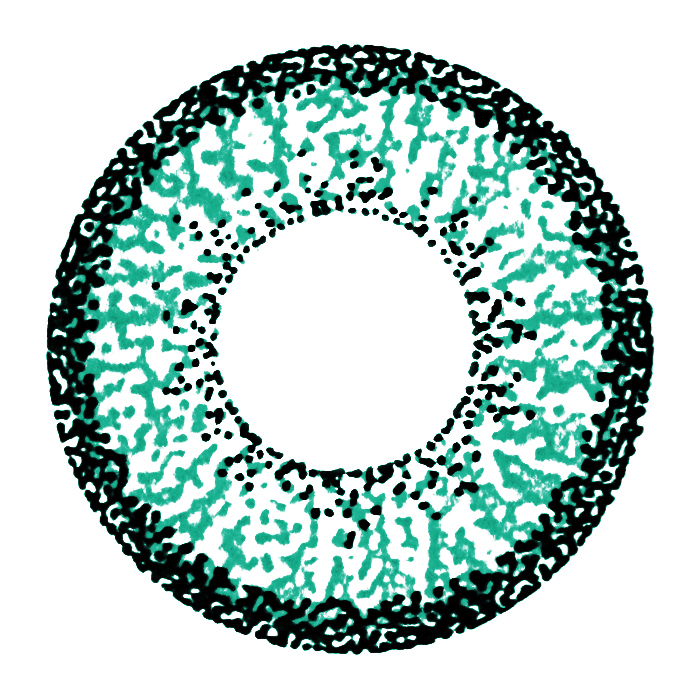 a_GEO_aqua_blue_color_9_AN_A49