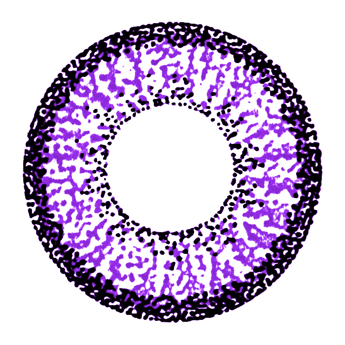 a_GEO_violet_color_9_AN_A41